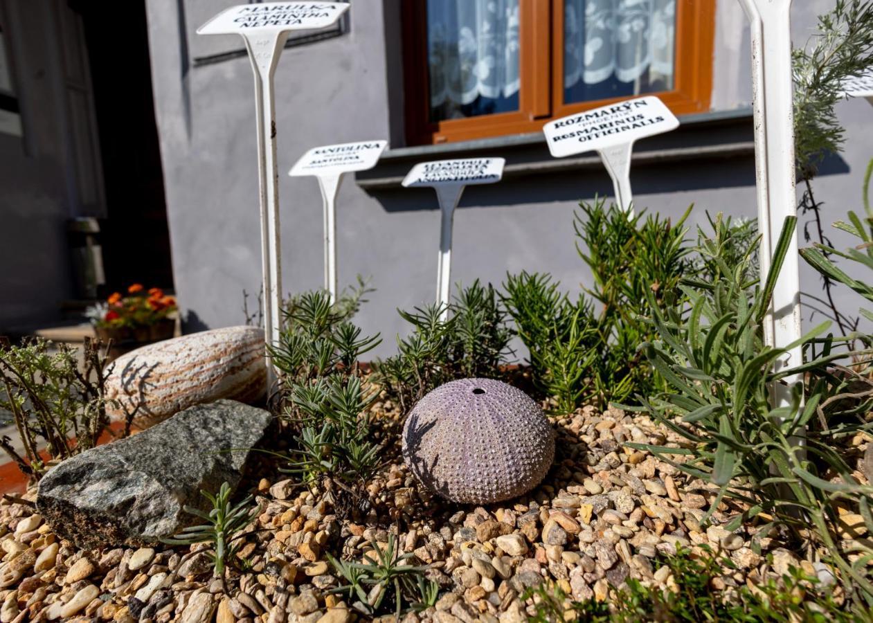 Apartmany U Aloise Dolní Morava Exterior foto