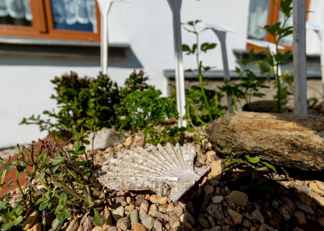 Apartmany U Aloise Dolní Morava Exterior foto